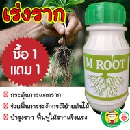 โปรซื้อขวด1แถม1 เร่งราก M Root 250 ซีซี  น้ำยาเร่งรากกล้วยไม้ และพืชทุกชนิด (นำเข้าจากอเมริกา) ระเบิกรากพืช
