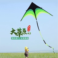 Kite Dayuan 202, Kite Breeze, Easy for Children to Fly, Forming Biggo7gj3