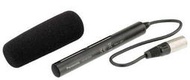 乙巧＞現貨＞Panasonic AG-MC200G 指向麥克風 公司貨 XLR 收音 錄音 UX180 CX350