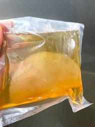 100g 康普茶自製包 Kombucha Scoby 康普茶 紅茶菌 紅茶菇 益生菌🍃有需要可加購紅茶葉 $10(10g) / $40(50g) 🫙 防菌防塵透氣封口膜 $12(5片) 💠紅茶葉(10