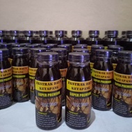 Ekstrak Ketapang Super RKFISH 100ml