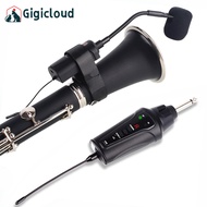 Wireless Clarinet System Built-in Rechargeable Lithium Battery Audio Wireless Transmitter Receiver Wireless Microphone