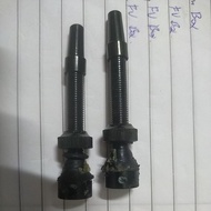 DT SWISS TUBELESS VALVE PAIR (USED LESS THAN ONE MONTH) TAKEN OUT FROM DT SWISS WHEELSET