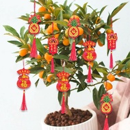 Ziyang Lucky Charms 2024 Dragon Year Lucky Hanging Chinese Wall Door Car Ornament Lucky Charms