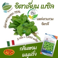2g Benih Daun Basil Italy / Italian Basil Leaves 🍃 / Cap JUIJIA