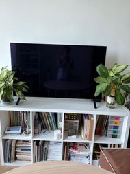 LG OLED48A1PCA 48吋 OLED 智能電視