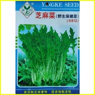 ☃ ◷ ◩ Arugula Rocket  Salad Vegetable Seeds ( 1000 seeds ) - Basic Farm House