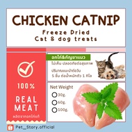 ขนมฟรีซดราย ไก่ฟรีซดราย แซลมอนฟรีซดราย ขนมแมว ขนมหมา Freeze Dried for Cat & Dog [Pet_Story]