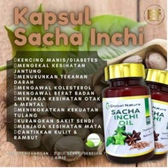 Sacha Inchi Oil Softgel/ Minyak Sacha Inchi 印加果油胶囊 1 bottle 100 Softgel HQ INCHA GLOBAL NATURE
