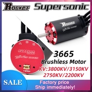 Rocket 3665 Brushless Motor 3800KV 3150KV 2750KV 2200KV w/Temp Sensor for 1/8 1/10 RC Car