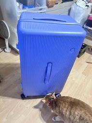 紫色行李箱26吋