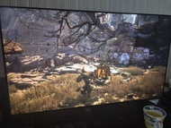 LG OLED-C4 OLED42C4PCA 42英寸 電競游戲電視 還有保養，功能正常 99%新