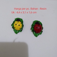 Miniature Ladybug Beetle Miniature Koxy Beetle