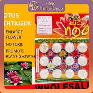 WHOLESALE 100 PACK THAILAND FERTILIZER FOR LOTUS &amp; WATER LILY ( 12 TABLETS ) BAJA TUMBUHAN AIR N-P-K 9-23-20