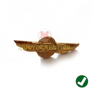 Boeing 737 Pin Airplane Lapel Pin Boeing 737 Pin Pilot Attribute