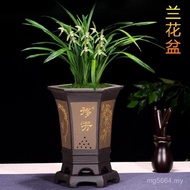 Orchid Pot Moran Daquan Purple Clay Flower Pot Special Pot High-End Pot Gentleman Orchid Premium Orc