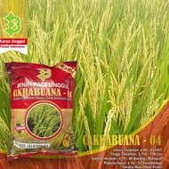 Benih Padi Cakrabuana 04 / Bibit Padi Cakrabuana 04