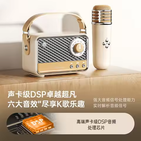 Retro Wireless Bluetooth Karaoke Speaker