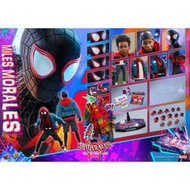 ~熊貓熊~全新 HOT TOYS MMS567 1/6 蜘蛛人 新宇宙 邁爾斯摩拉斯 MILES MORALES