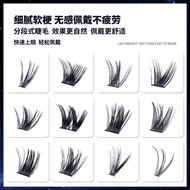 60D/80D Mink Eyelashes 100/280 Bundles Natural Eyelash睫毛