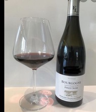 Pinot noir 2019