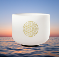 8inch 528hz Tuned c Bowl Note Chakra White Crystal Singing Bowl For Healing