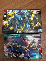 HG MSN -03 JAGD DOGA & HG RX-78-02 WHITE GUNDAM