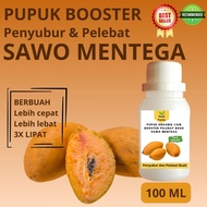 Pupuk Sawo Mentega Cepat Berbuah / Pupuk Pelebat Buah Sawo Mentega / Pupuk Booster Sawo Mentega Cair