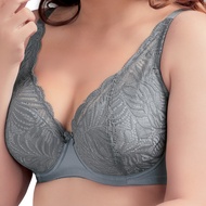 Eleanor Wired Bra Axxx : Size : 34B - 42D