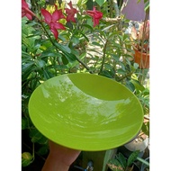 Tupperware fruit Plate