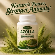Azolla Powder Natural Plant Feed Additive Poultry Livestock Aquaculture Growth Support Feed Mix BDS