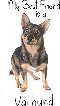 My best Friend is a Vallhund (Squared Paper): 6" x 9" Blank Quadrille (quad) ruled Journal Notebook