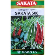 Benih Cili Sakata 508 Kecil F1 HYBRID