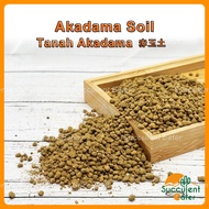 Akadama Soil 1L Tanah for Bonsai Succulent Cactus Kaktus Soil Plant Stone 赤玉土 多肉 仙人掌