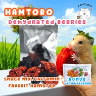 Dehydrated Berries Snack Hamster Sugar glider Landak mini Beri Kering