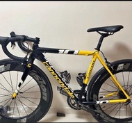 Cannondale CAAD10 Road bike 公路單車