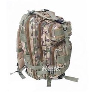 台南 武星級 MOLLE 3P 背包 多地形( 槍盒 槍箱 槍袋 槍包 旅遊 登山 露營 槍包 生存遊戲 軍事風 迷彩