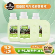 觀葉植物濃縮營養液通用型綠蘿發財樹文竹幸福樹專用花肥