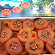 ลูกพลับอบแห้ง เยาวราช (1KG) Dried Persimmon (นำเข้า CHINA) ~ลดพิเศษ~ ผลไม้นำเข้า ลูกพลับแก้ว พลับแห้งจีน ผลไม้แห้ง ผลไม้อบแห้ง Dried Fruit