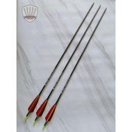 Elong Outdoor NUMB-1 Arrow 400sp, 500sp, 600sp