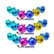 CBR 250 Titanium GR5 Body Bolts, 10 bolts