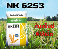 ข้าวโพดเลี้ยงสัตว์ เมล็ดพันธุ์ข้าวโพด NK6253 ยืนต้นดี สีได้เนื้อ เบอร์ 3 ทนแล้ง สินค้าออกใหม่ หมดอาย