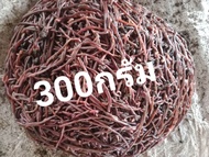 ไส้เดือนaf300กรัมไส้เดือนตกปลา