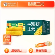 鹤农益得黄糯玉米新鲜黏甜糯香玉米棒鲜嫩蔬菜真空包装玉米即食杂粮轻食 220-300g*10穗