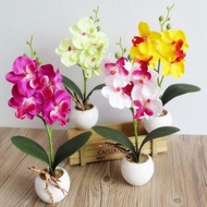 Bonsai Flower Arranging Accessories