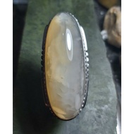 Baboon Cotton Pandan