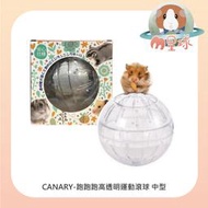 M星球【CANARY】跑跑跑高透明運動滾球 中型〔小寵跑球/透明跑球/倉鼠滾球/蜜袋鼯跑球〕