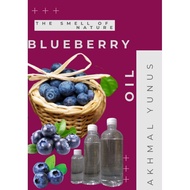 BLUEBERRY ESSENCE OIL BASED/BLUEBERRY ESSENCE OIL BASED BAKERY/GROCERIES