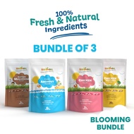 [3-in-1] Nanimom Baby Food Powder Blooming Kit (Ikan Bilis / Chicken / Mushroom / Chicken Vegetable)