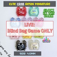 Blind Bag Live Game - Cute Mini Crab  and Turtle Resin Minuature